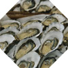 Frozen half shell oysters