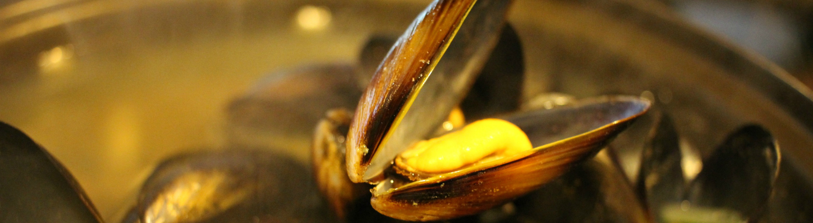 Mussels 3