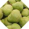 Packham-Pears--2