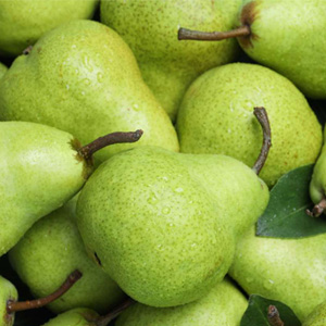 Pears