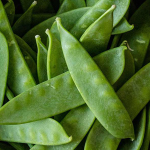 Snow Peas